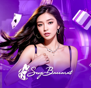 섹시바카라 카지노